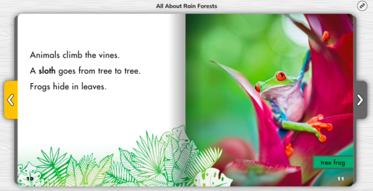 all about rainforests nonfiction text features 800x410