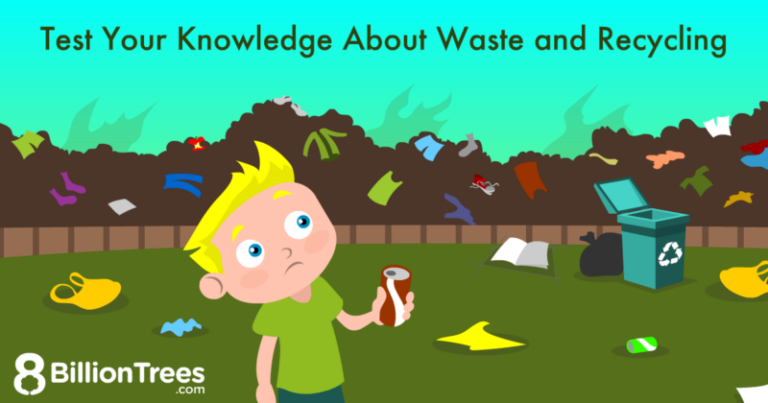 waste and recycling facts kids quiz 800x420
