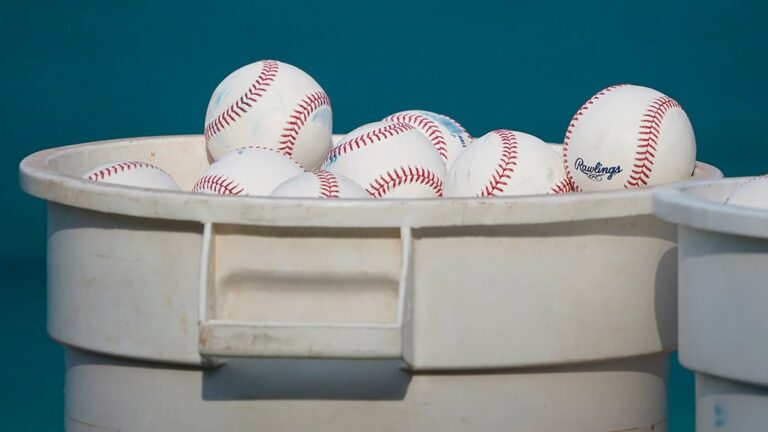 Baseball bucket