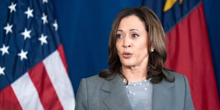 kamala harris vp 2024 candidate flag gID 7