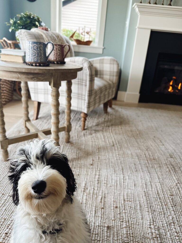 finnegan the inspired room schnoodle