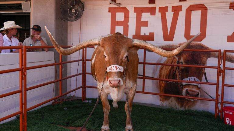 bevo