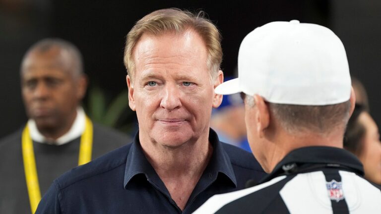 roger goodell2